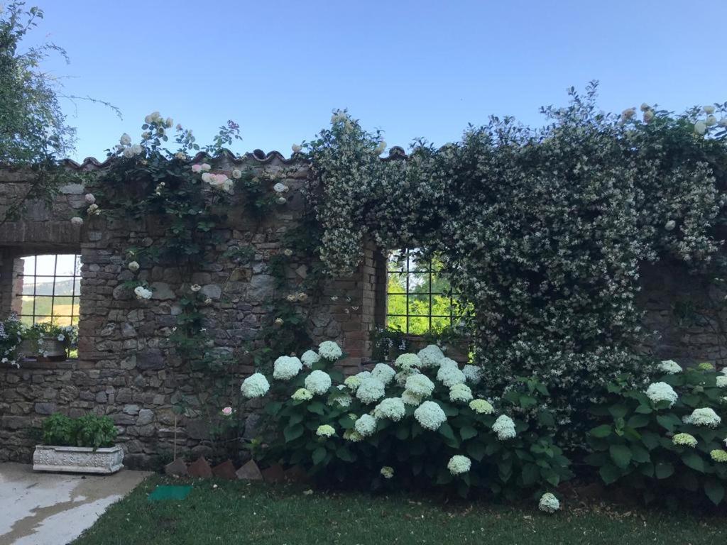 Sismano Il Borgo Di Olive酒店 外观 照片