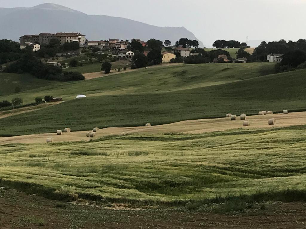 Sismano Il Borgo Di Olive酒店 外观 照片