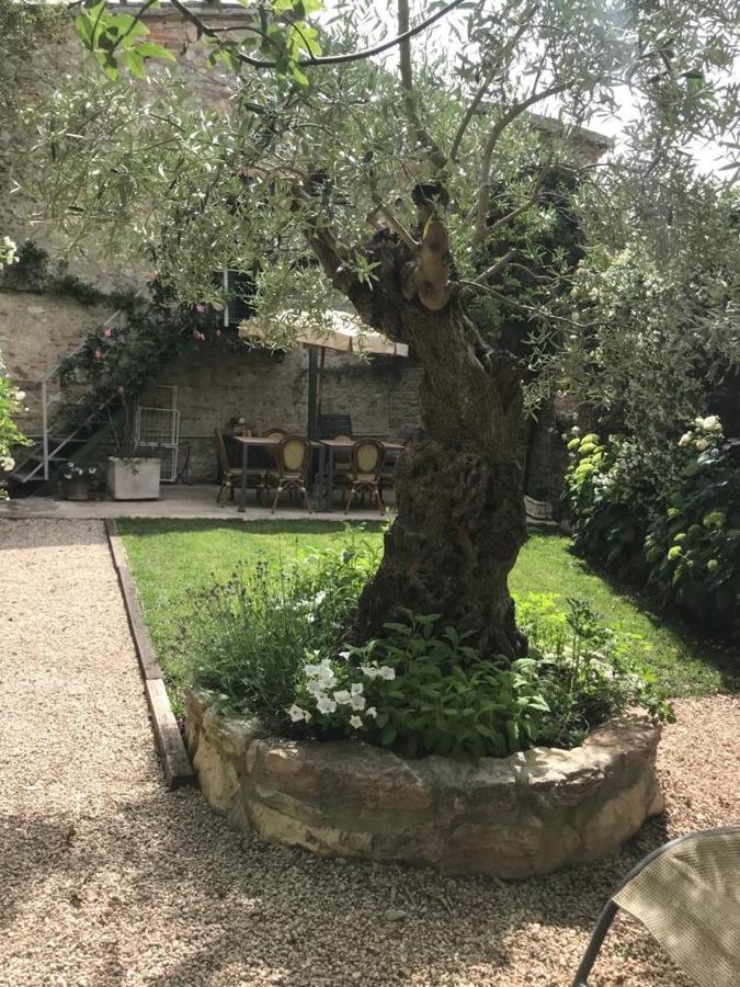 Sismano Il Borgo Di Olive酒店 外观 照片